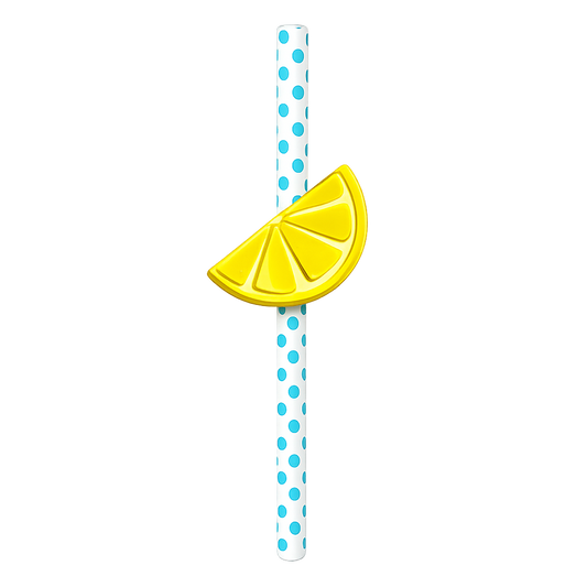 Lemon Slice Straw Charm